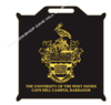 University Stadium Cushions
